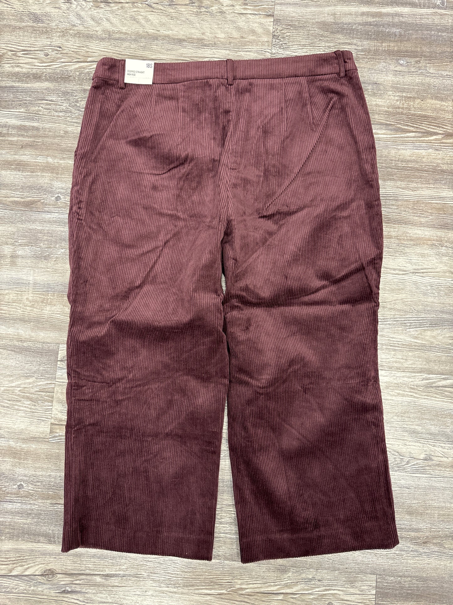 Pants Corduroy By Express In Purple, Size: 18