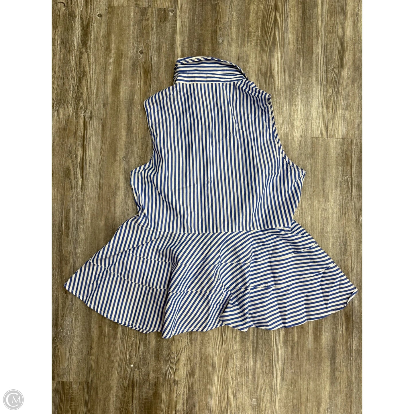 Top Sleeveless By Pomander In Blue & White, Size: L
