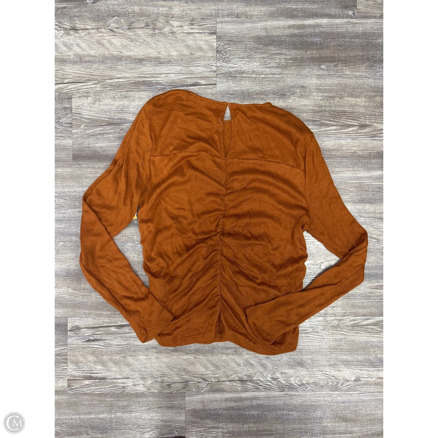 Top Long Sleeve Designer By Walter Baker In Brown, Size: L