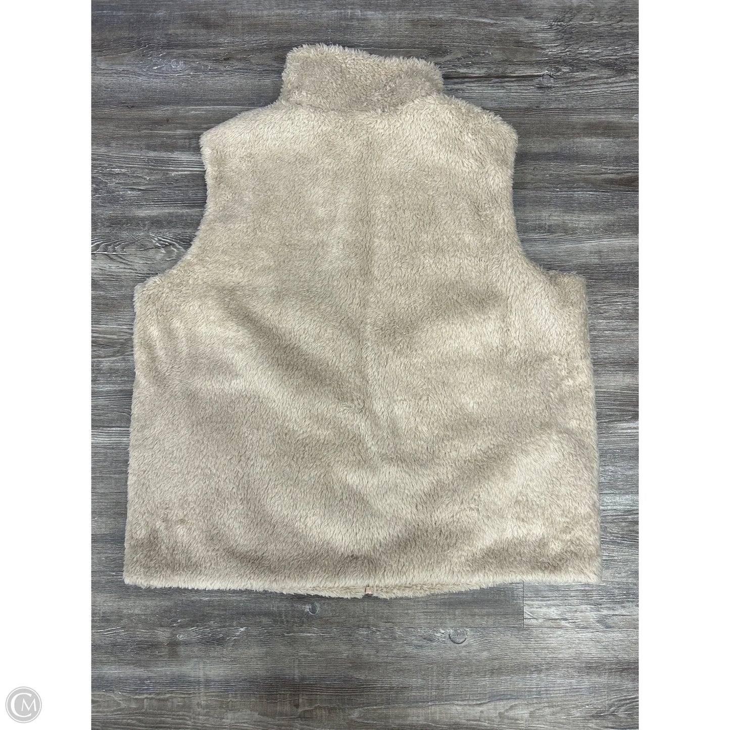 Vest Fleece By Patagonia In Tan, Size: Xl