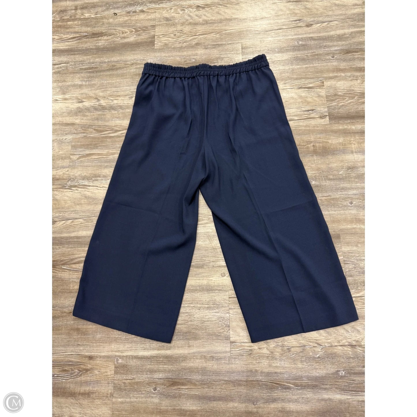 Pants Wide Leg By Madewell In Navy, Size: Xl