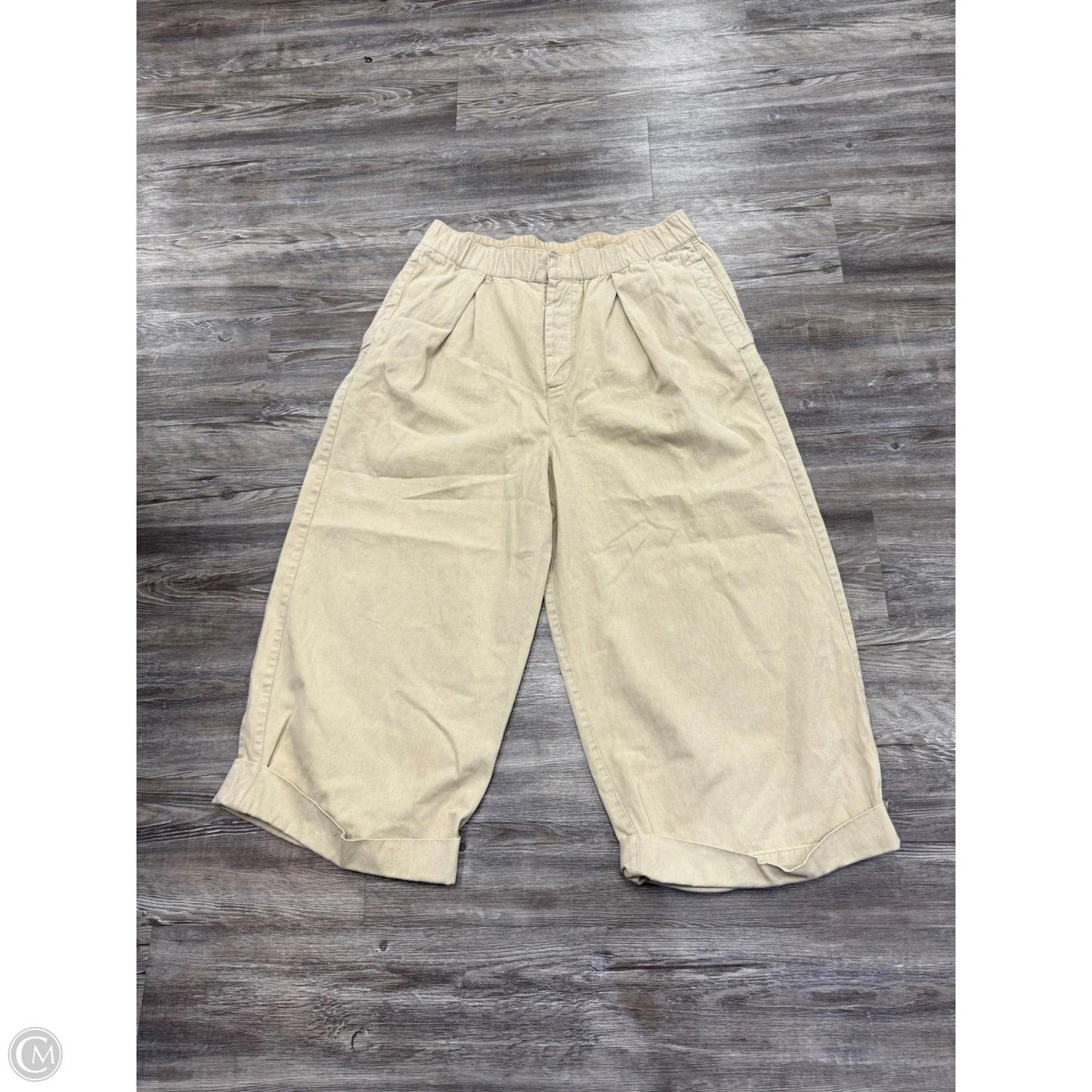 Pants Cargo & Utility By Free People In Tan, Size: Xl