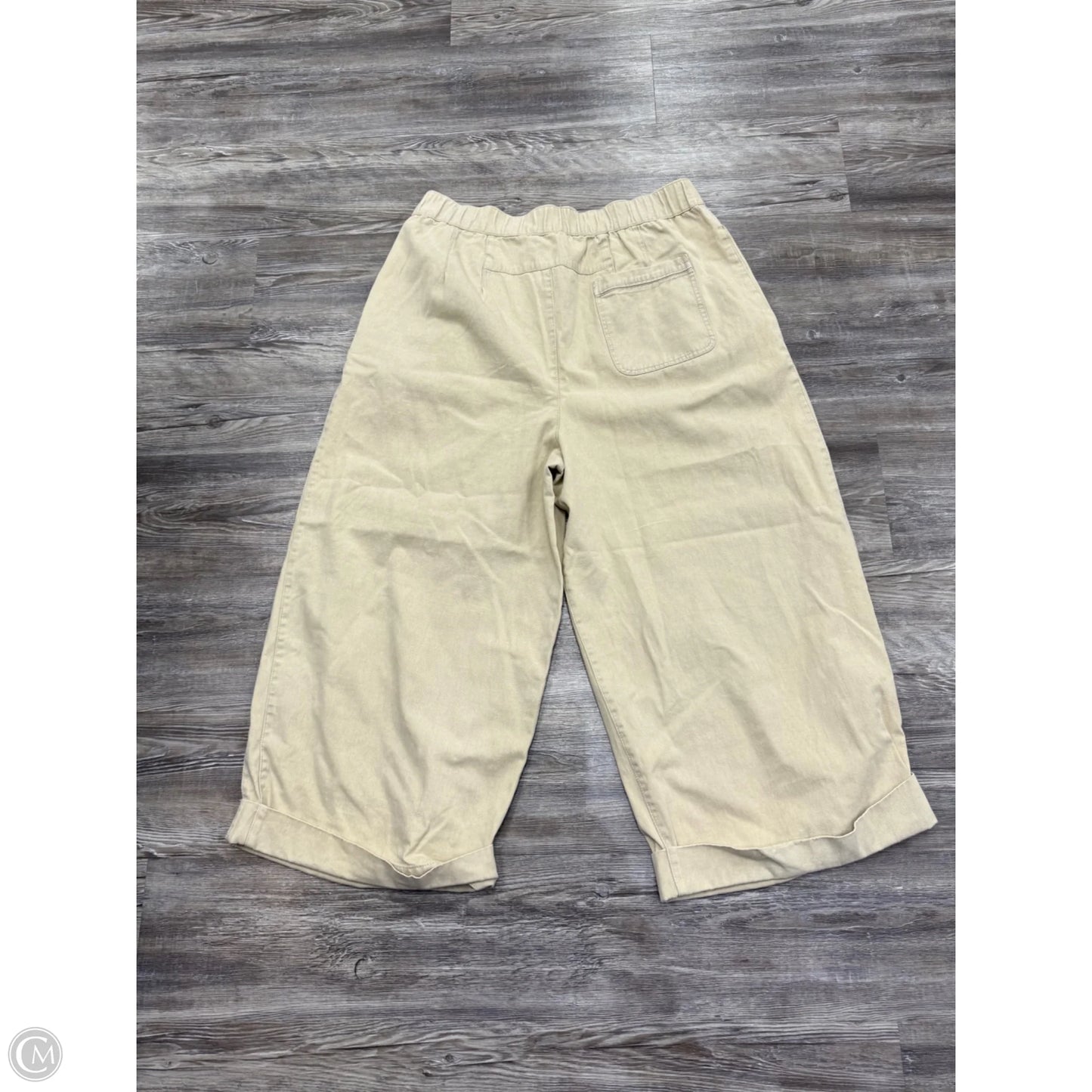 Pants Cargo & Utility By Free People In Tan, Size: Xl