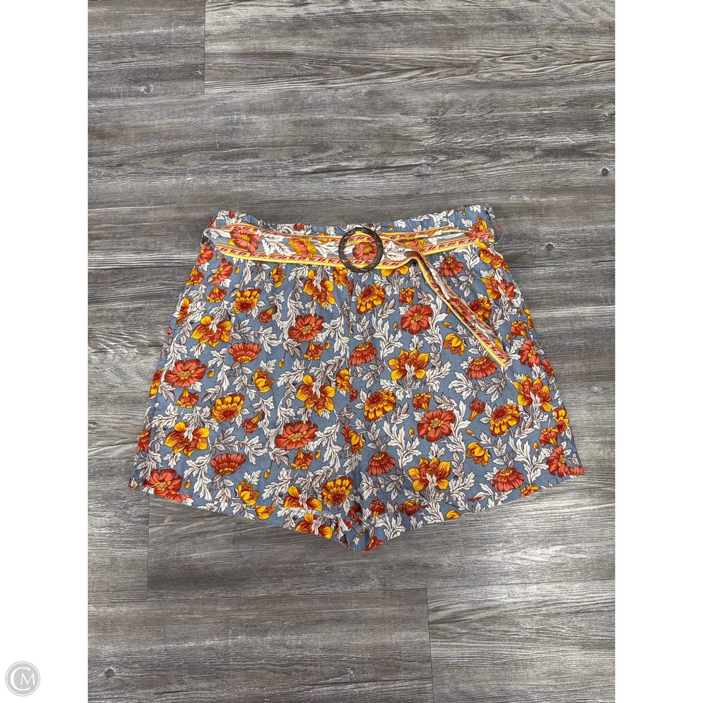 Shorts By Rachel Zoe In Blue, Size: L