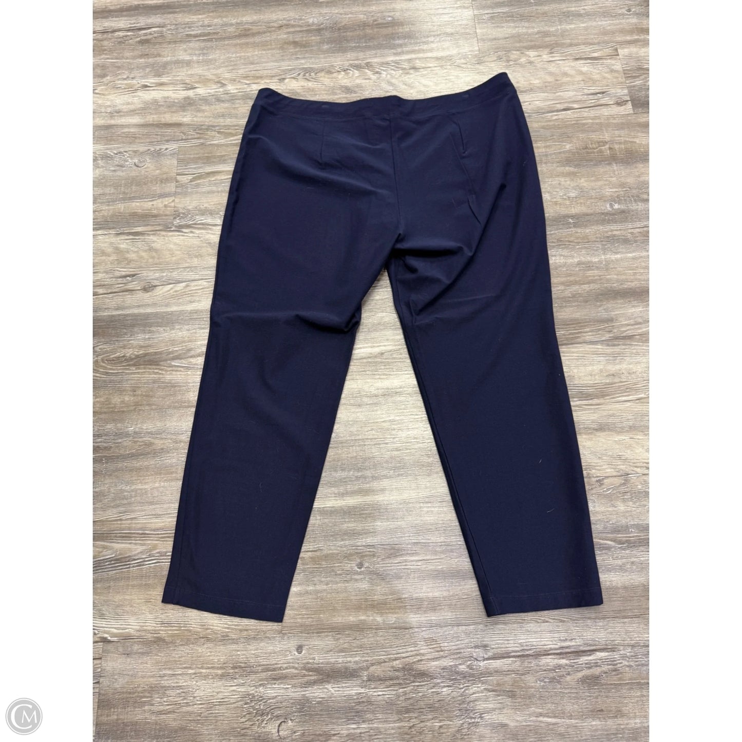 Pants Other By Eileen Fisher In Blue, Size: 2x