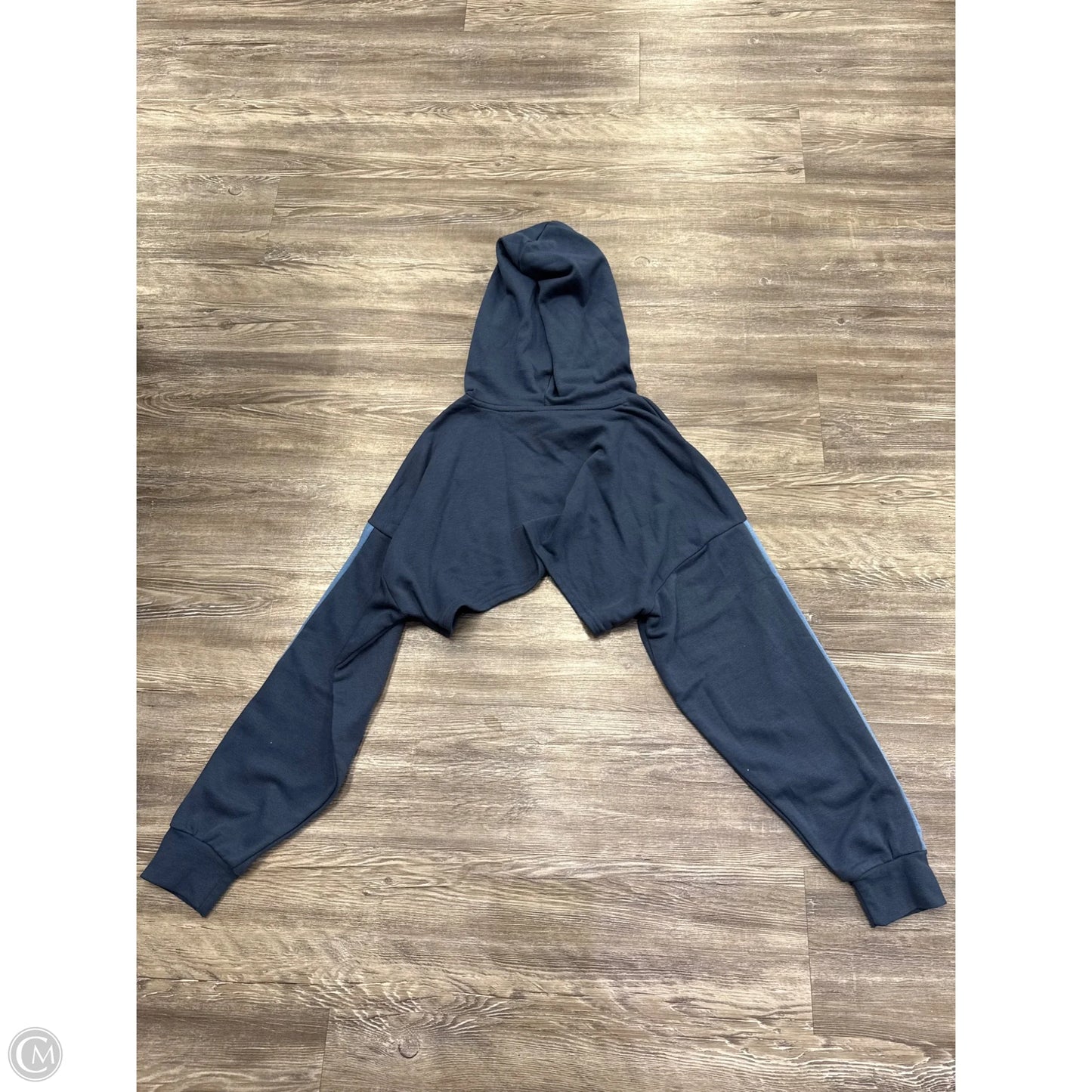 Sweatshirt Hoodie By Disney In Blue, Size: 1x