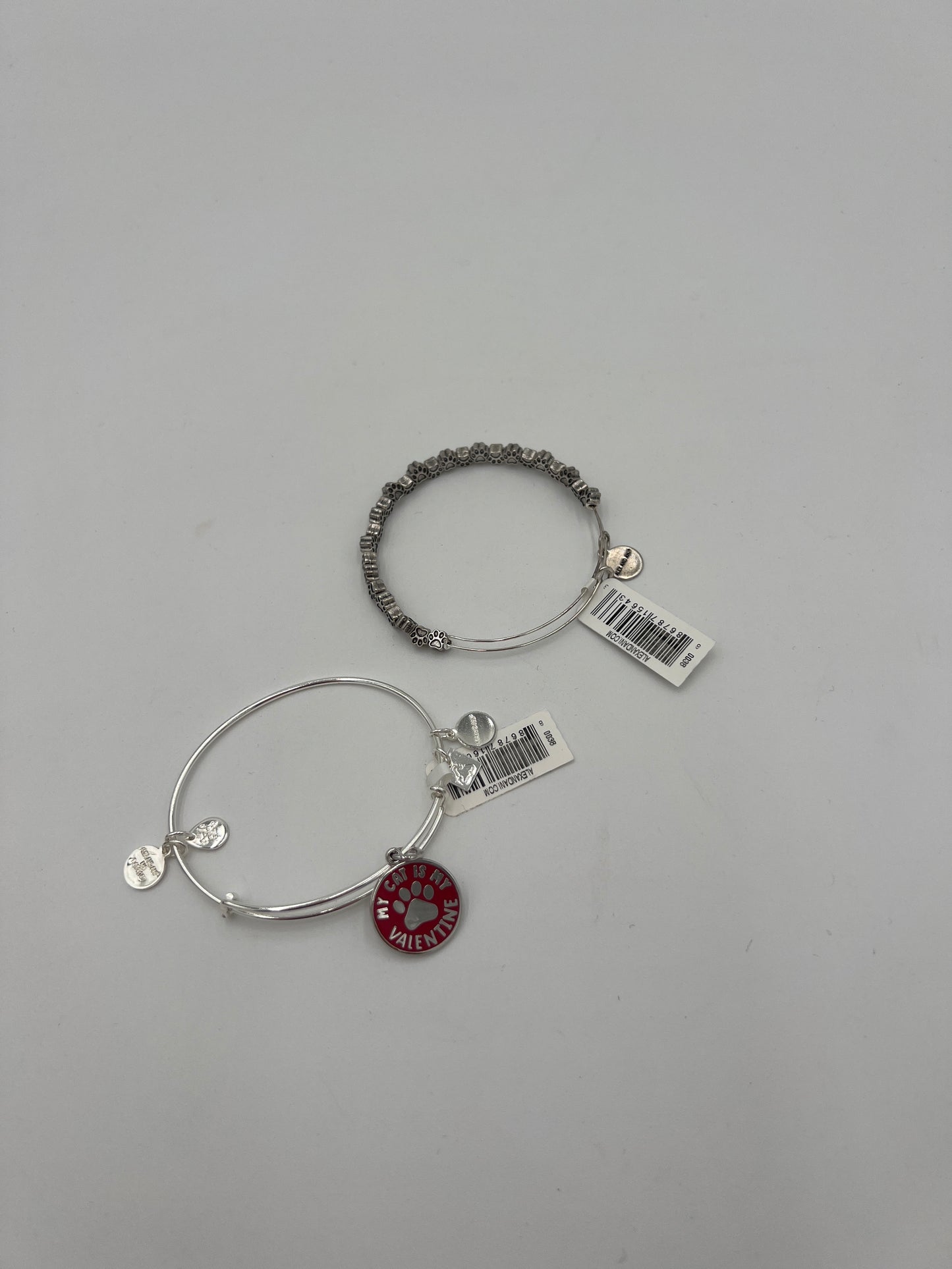 Bracelet Charm By Alex And Ani