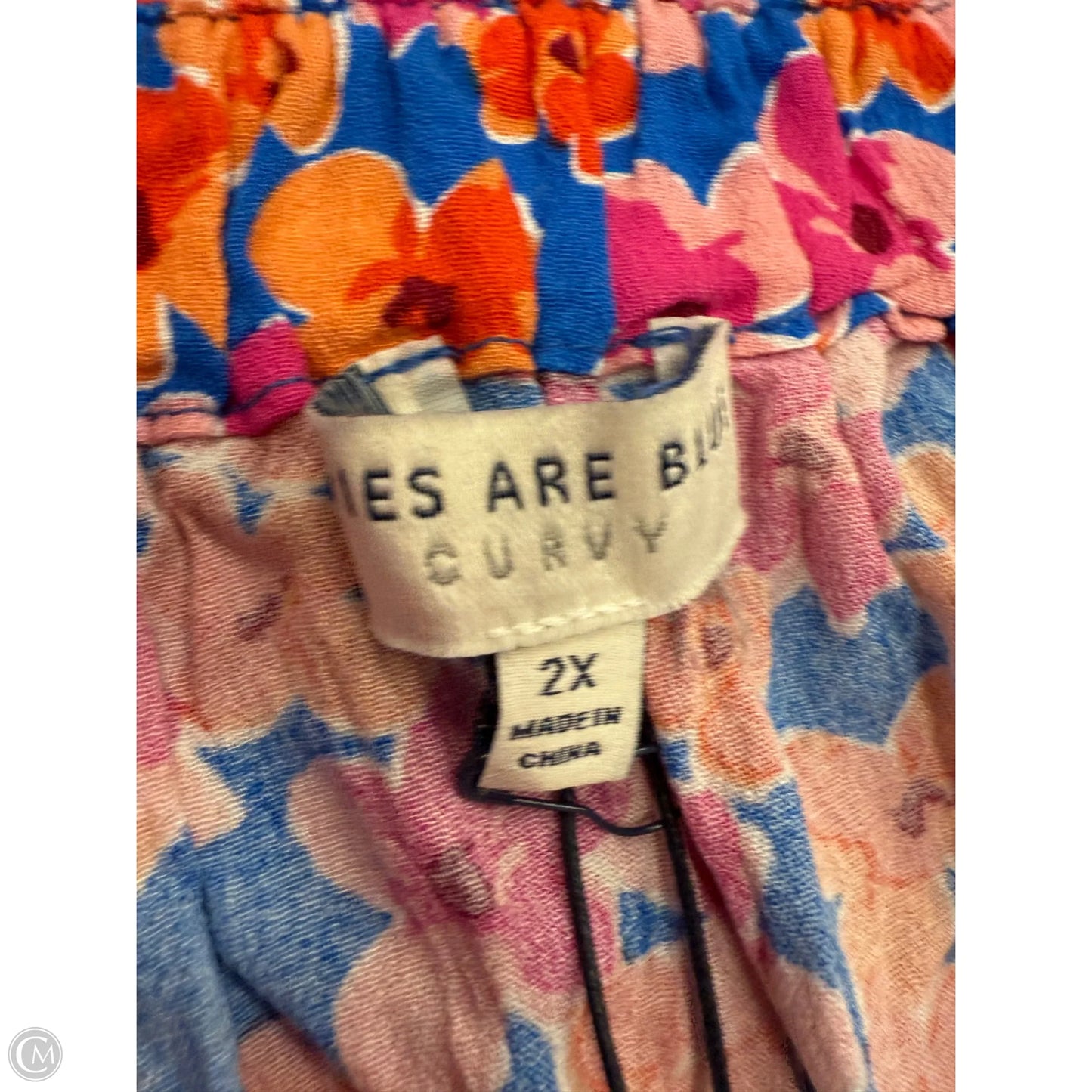 Dress Casual Maxi By Skies Are Blue In Floral Print, Size: 2x
