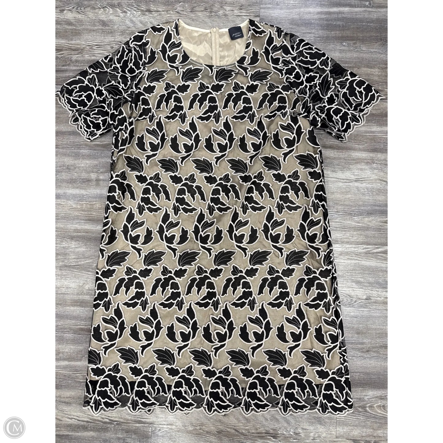 Dress Party Short By Cma In Black & Cream, Size: 16