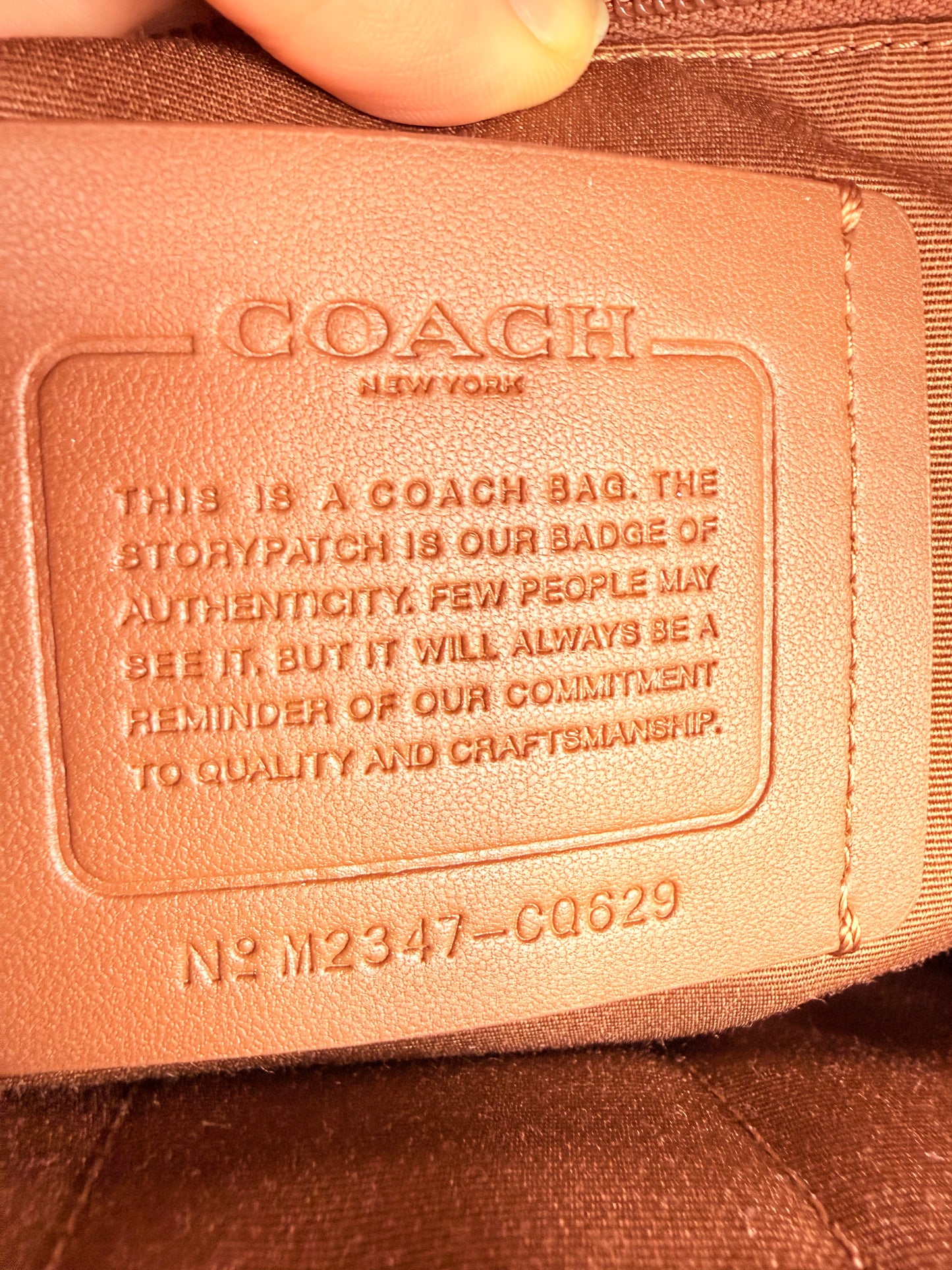 Backpack Designer By Coach, Size: Large