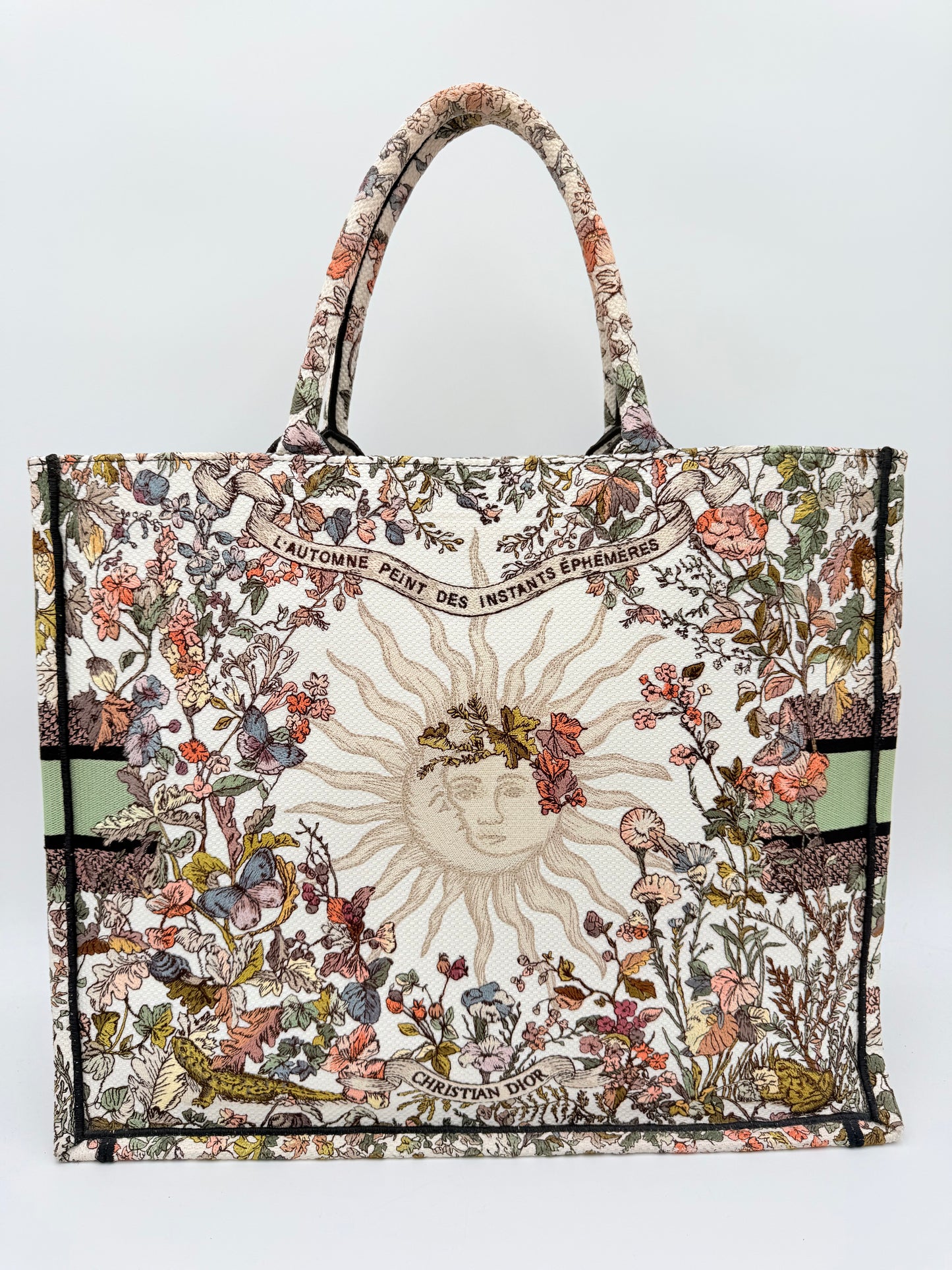 Tote Luxury Designer By Dior In Multi, Size:Large