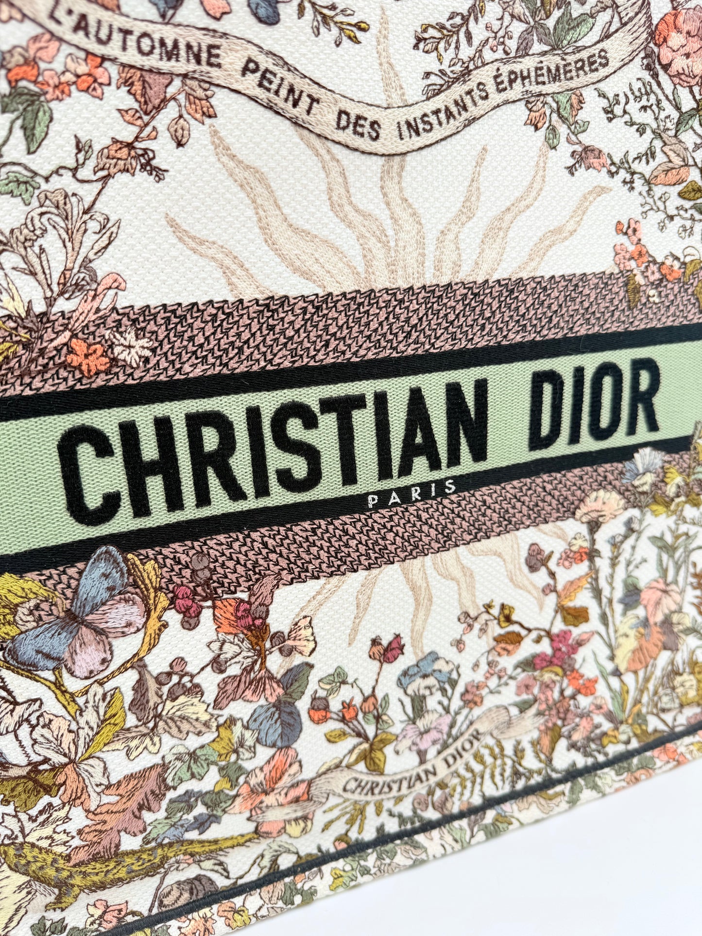 Tote Luxury Designer By Dior In Multi, Size:Large