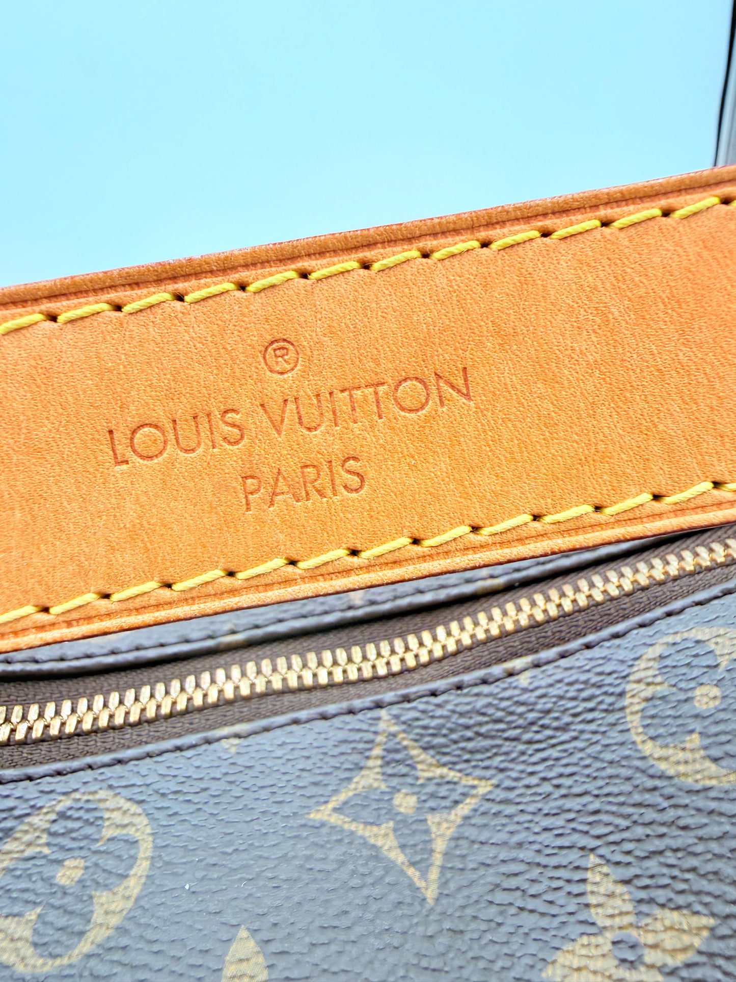 Handbag Luxury Designer By Louis Vuitton In Brown, Size:Medium