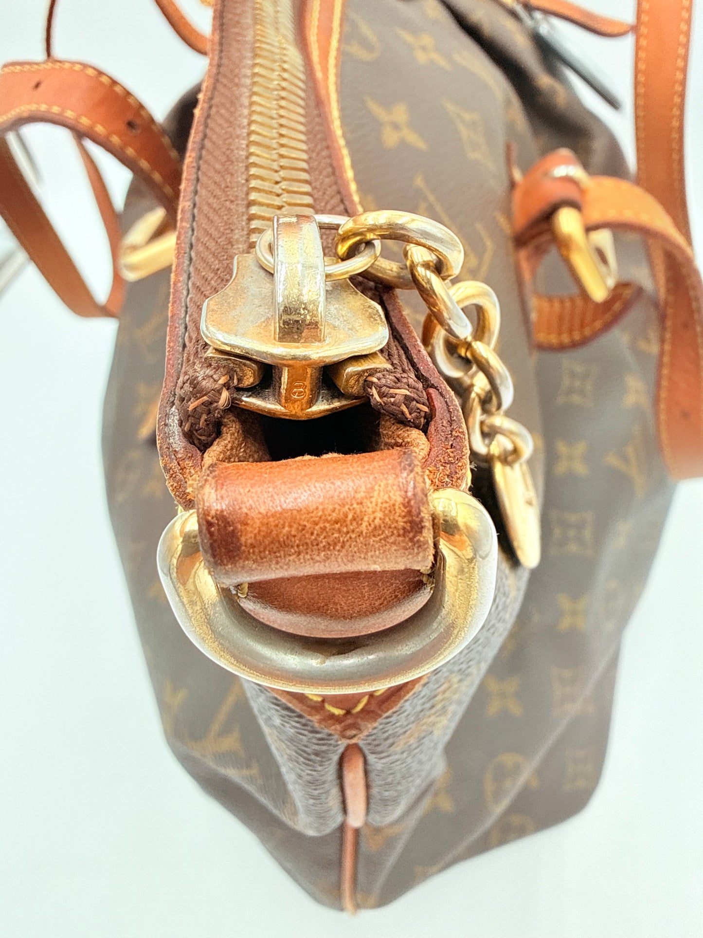 Tote Luxury Designer By Louis Vuitton In Brown & Tan, Size:Medium