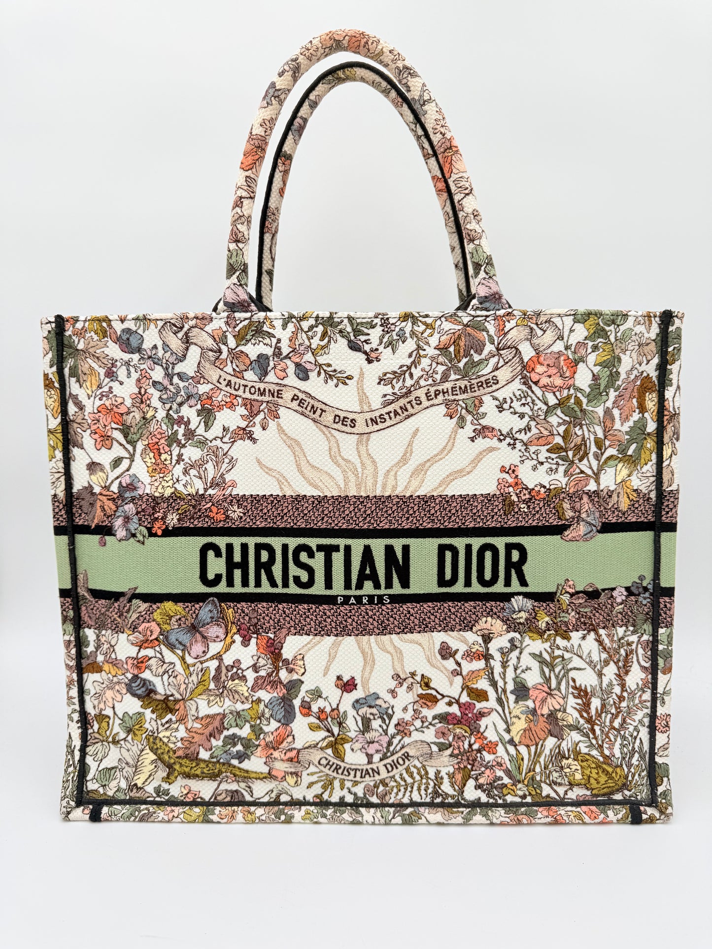 Tote Luxury Designer By Dior In Multi, Size:Large